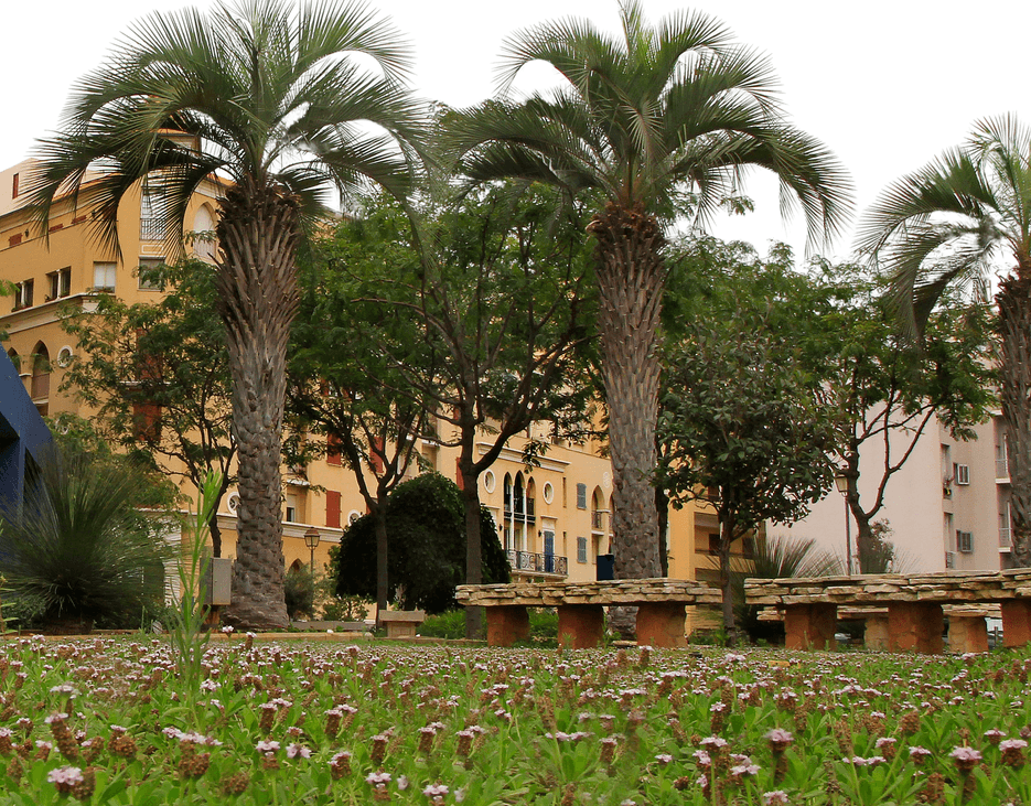 Saifi Village7