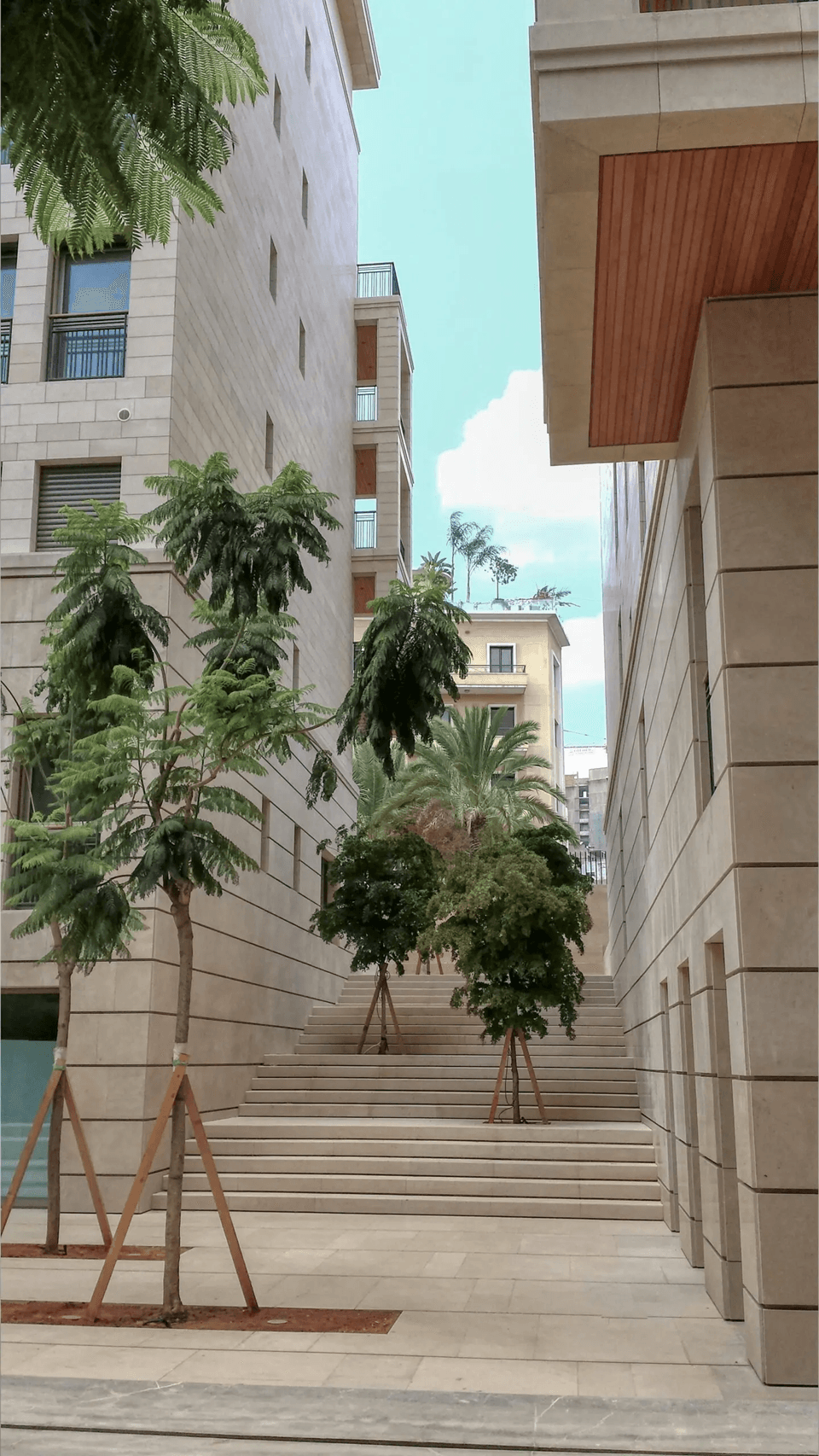 wadi1